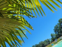 petit coin tranquille au bord de la piscine
