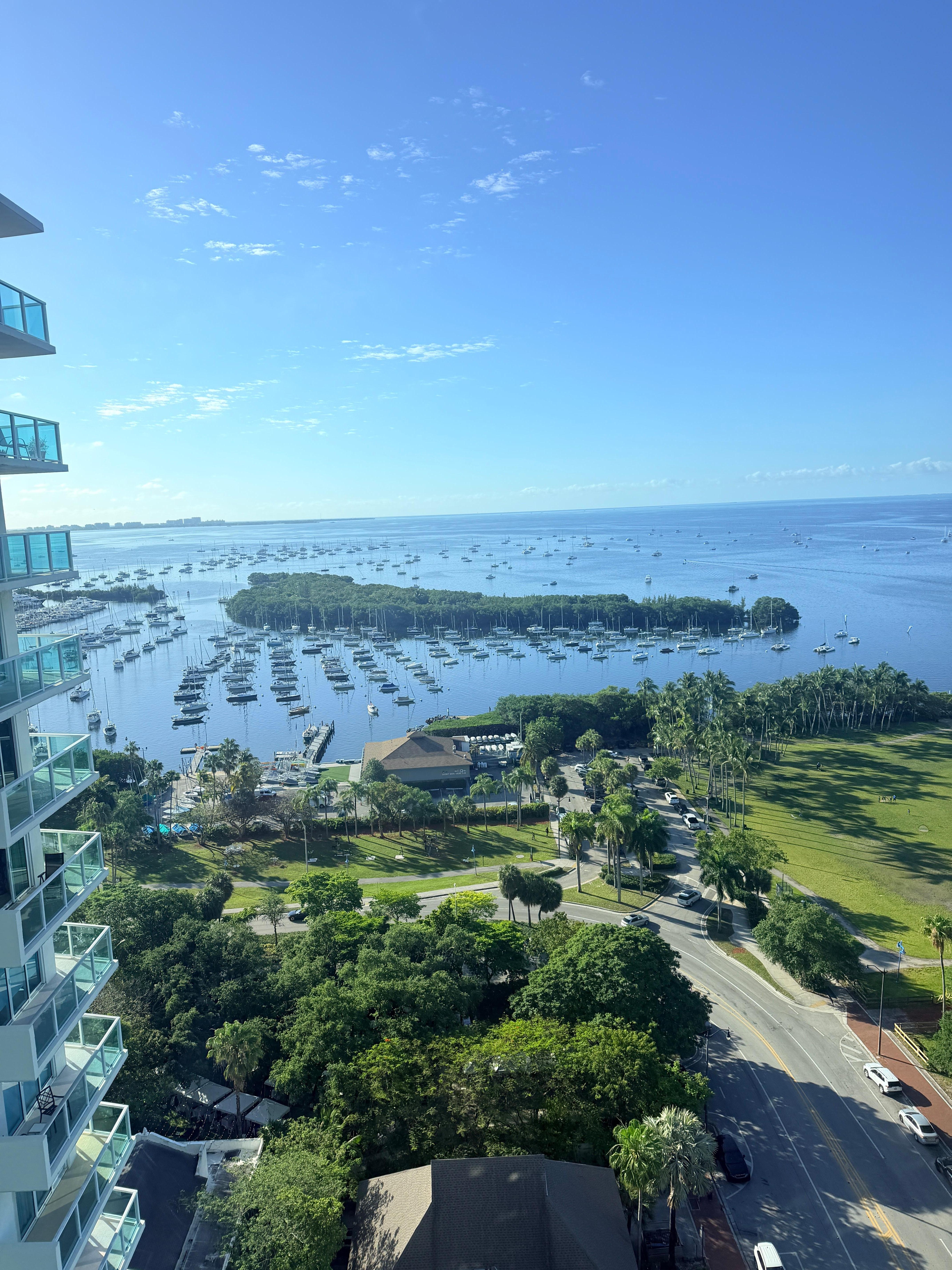 View from the window