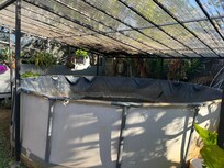 Pool as of Feb 2, 2026