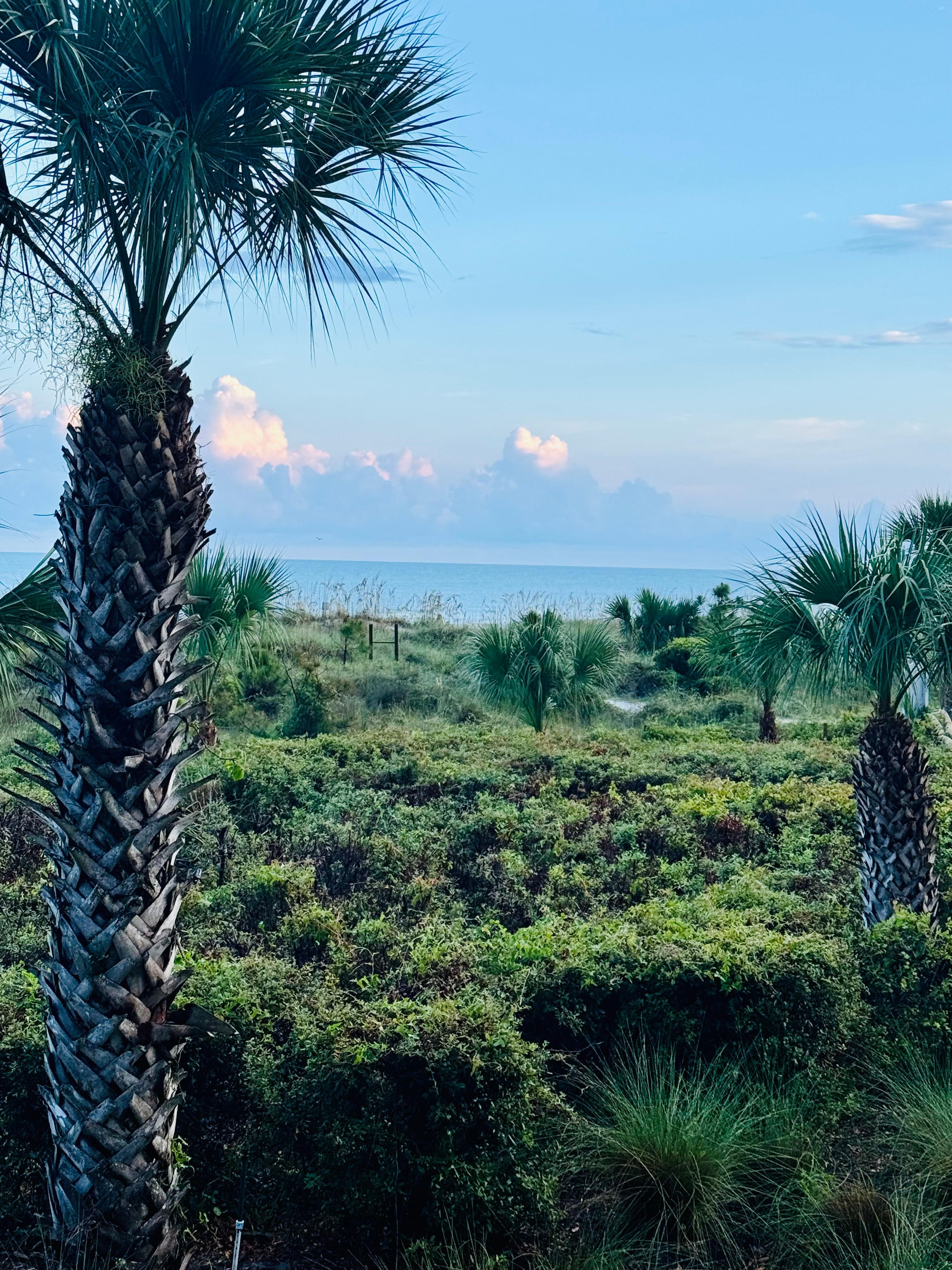 Ocean front view from our private balcony 