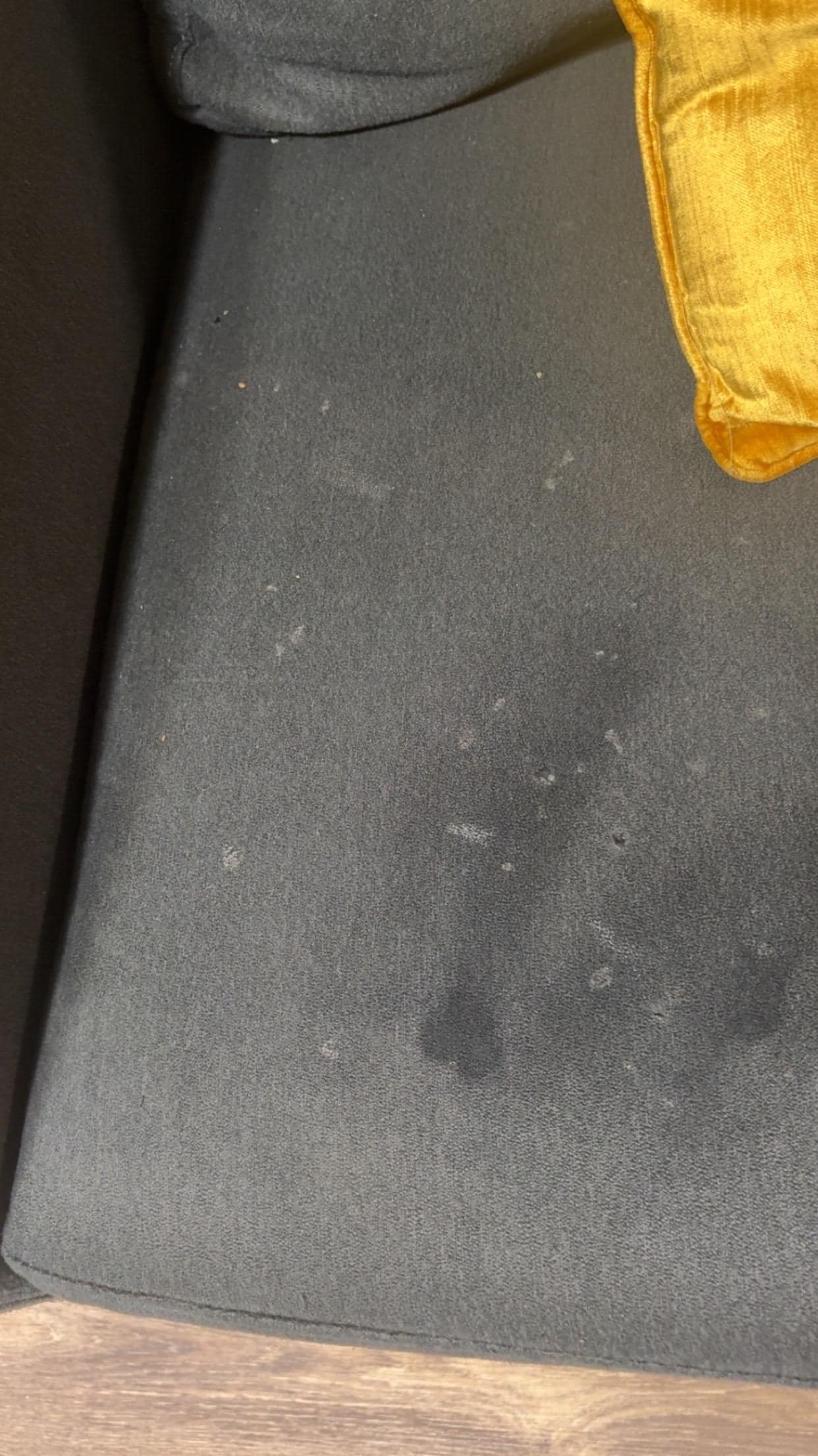 Couch with white stains.