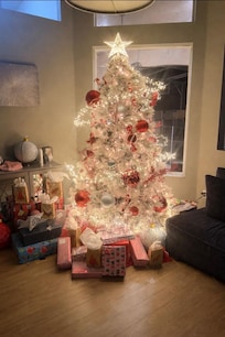 Christmas 2025 was unbelievably great thanks to the stay and this house and the host!