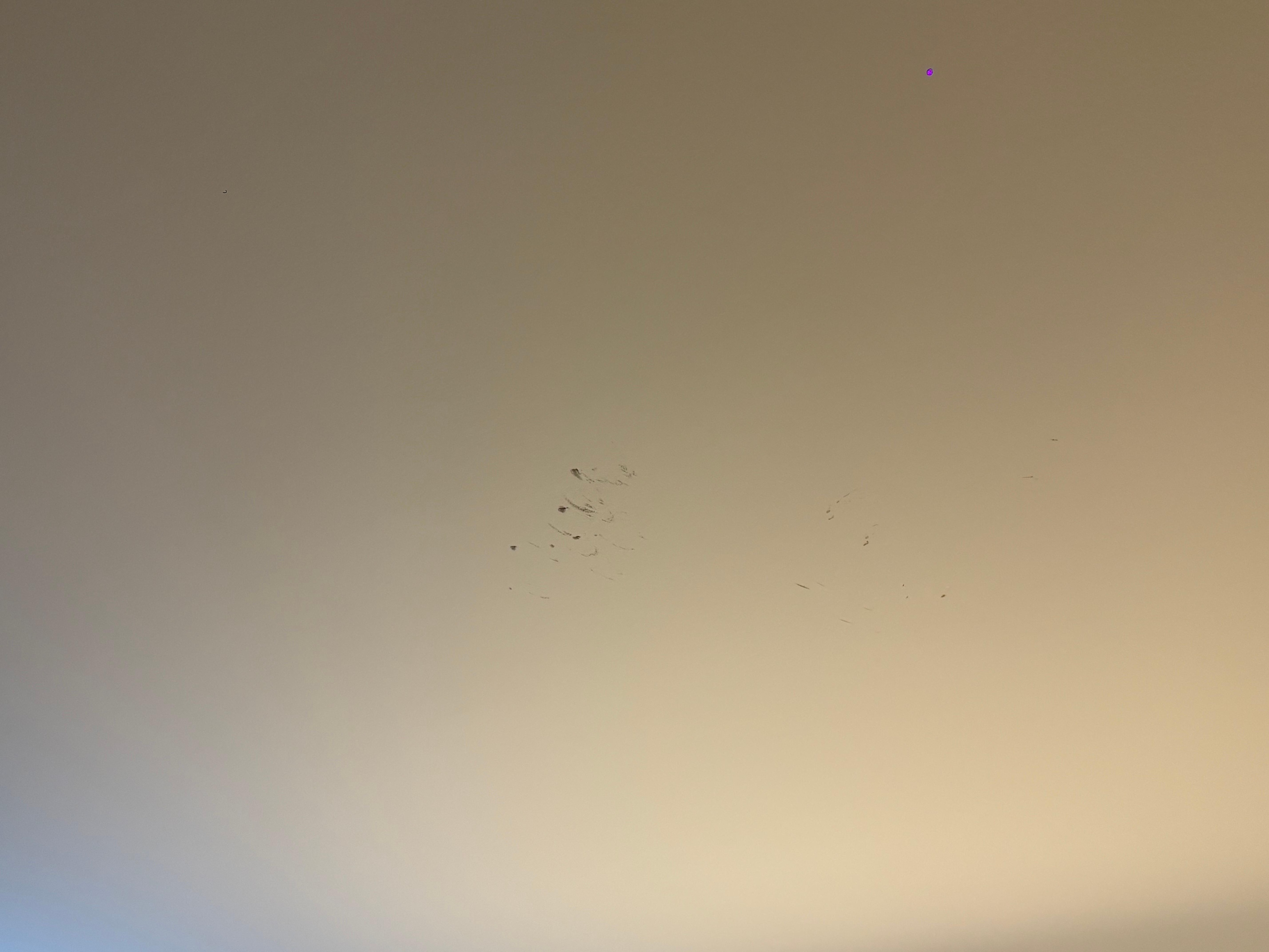 Scuff marks on CEILING