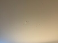 Scuff marks on CEILING