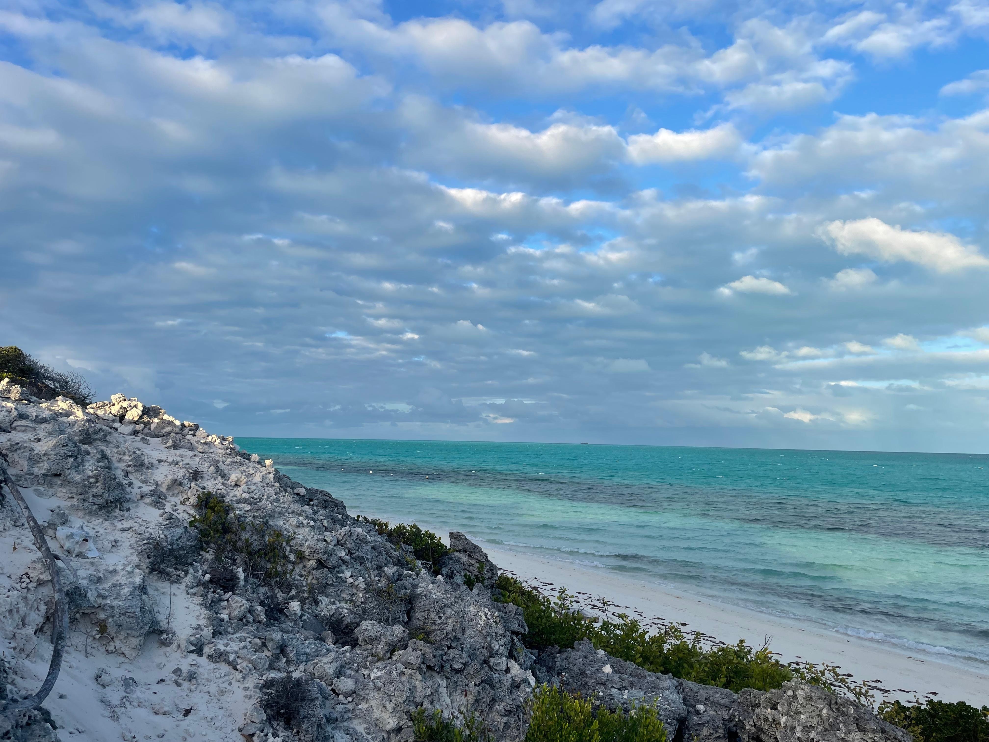 View from ledge above beach