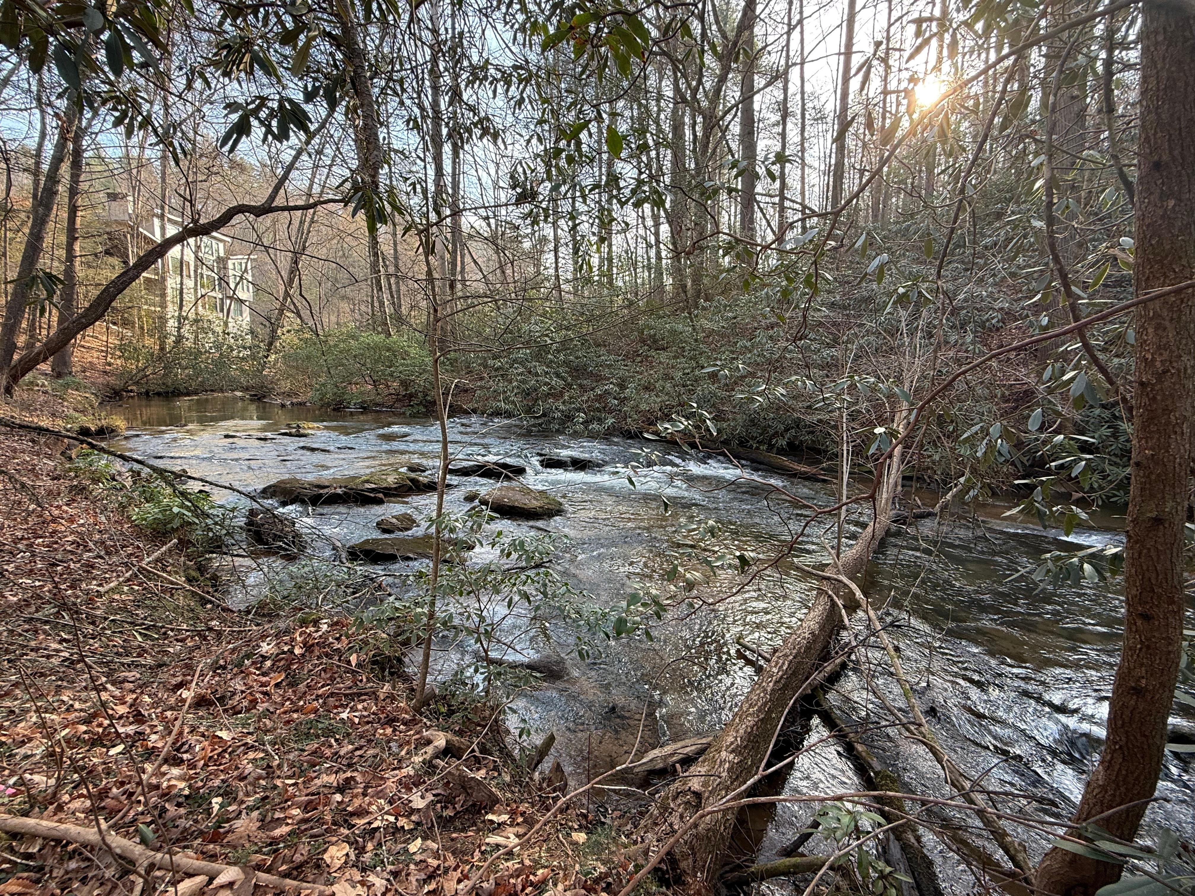 The creek in front of the house was a great place for the kids to play. 
