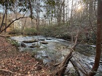 The creek in front of the house was a great place for the kids to play.