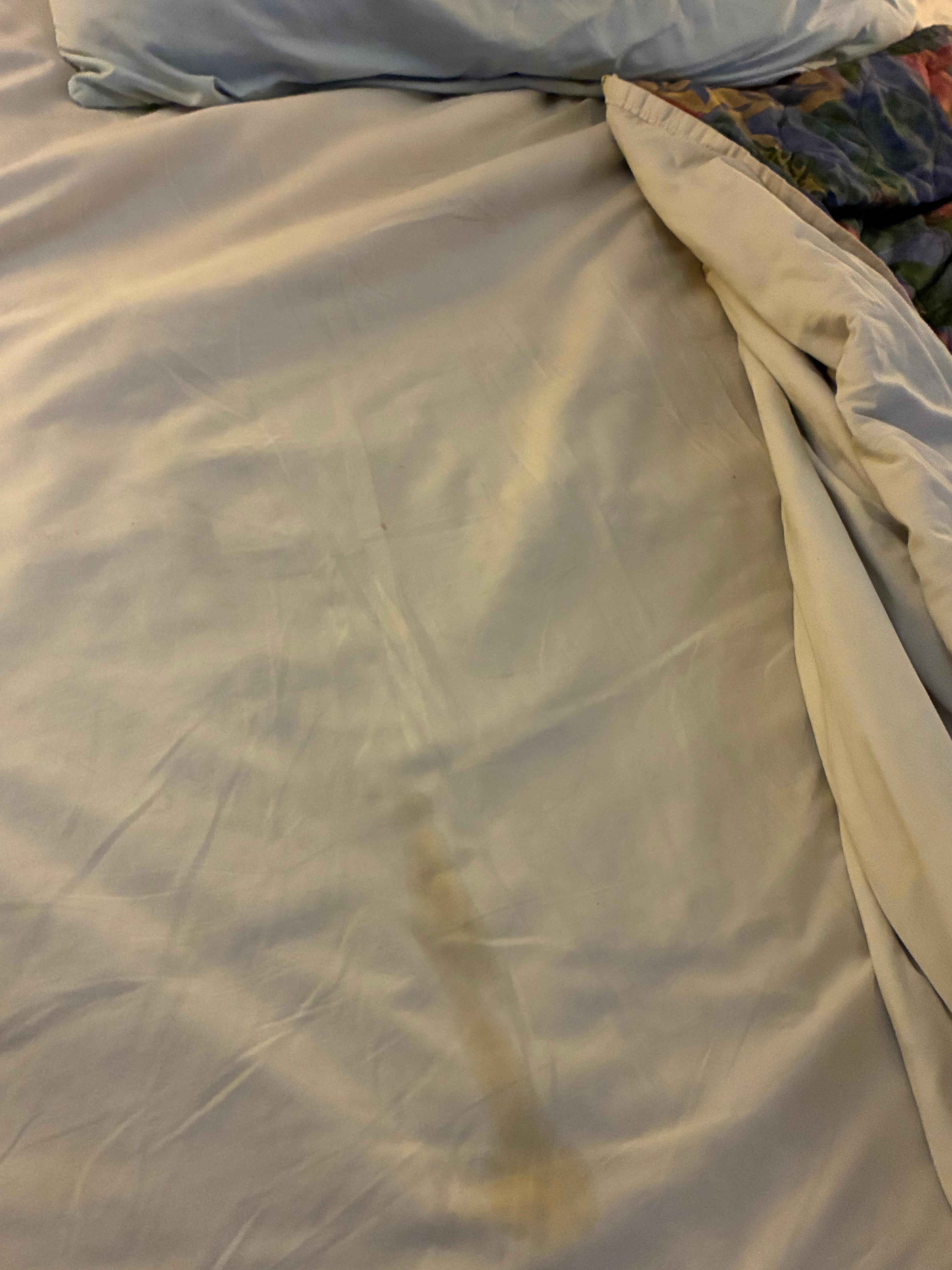 Stained bedding 