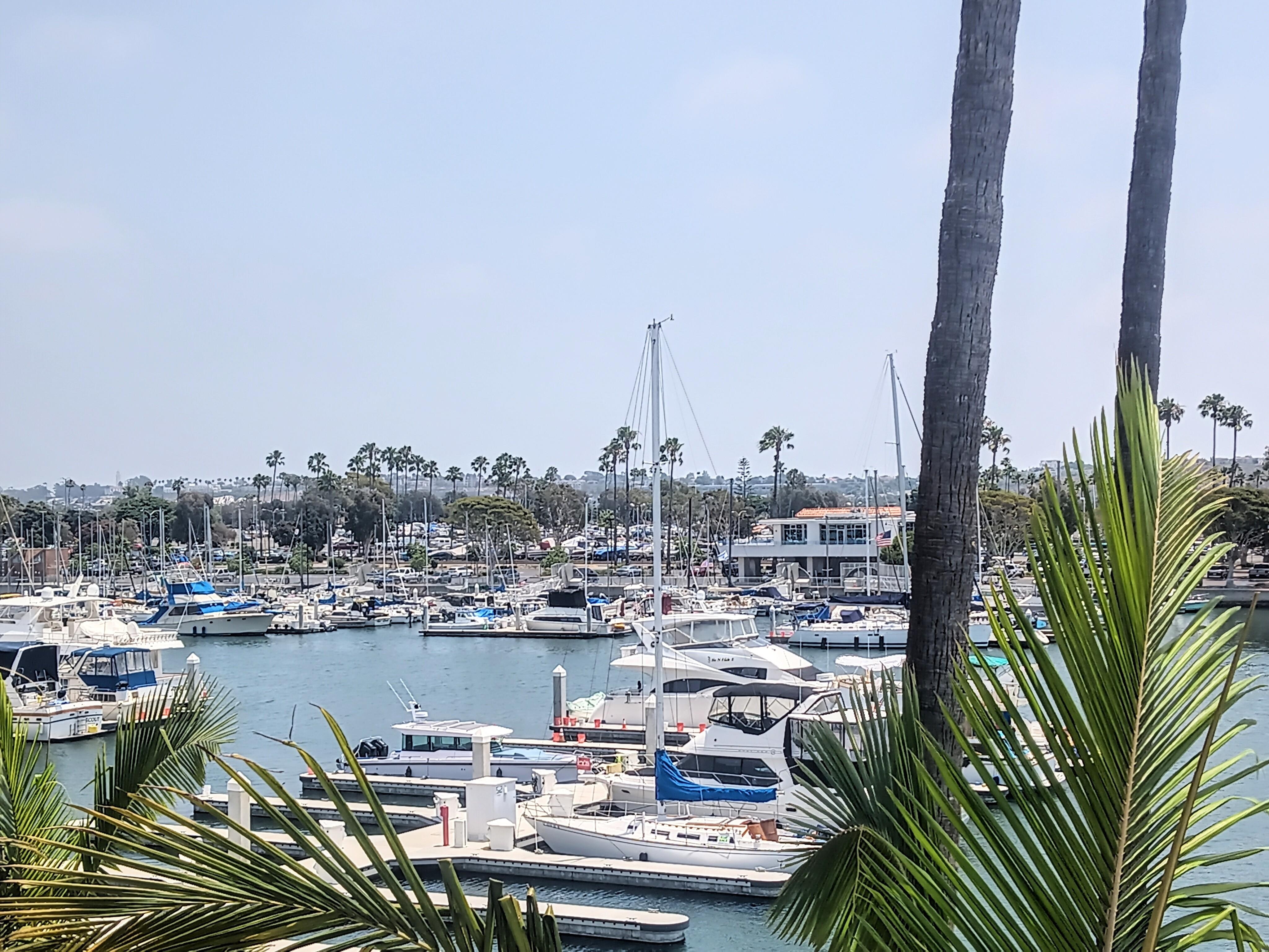 Looking over the Marina in the afternoon