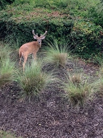 He would come and visit everyday