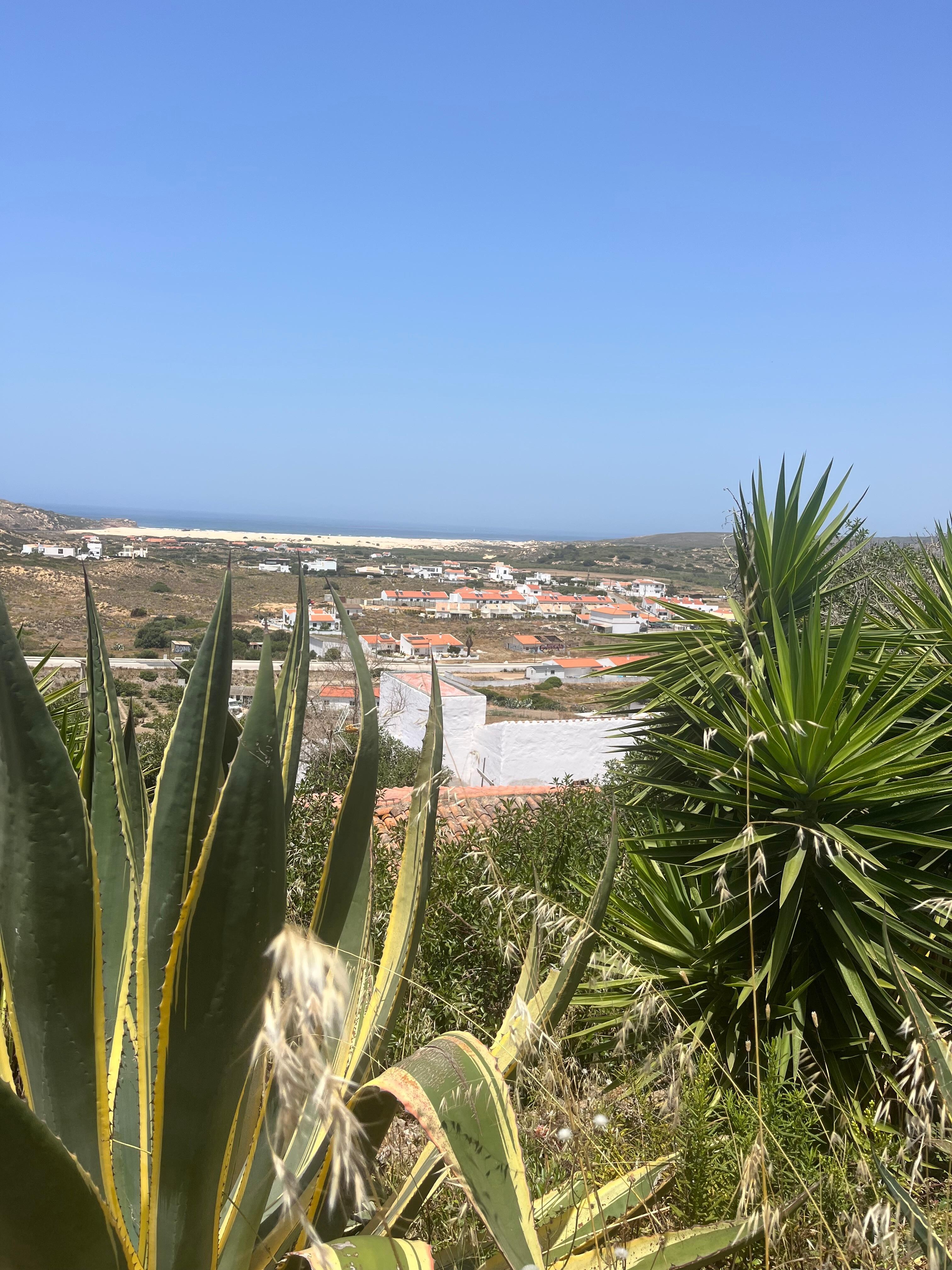 View from one of the many patios. 