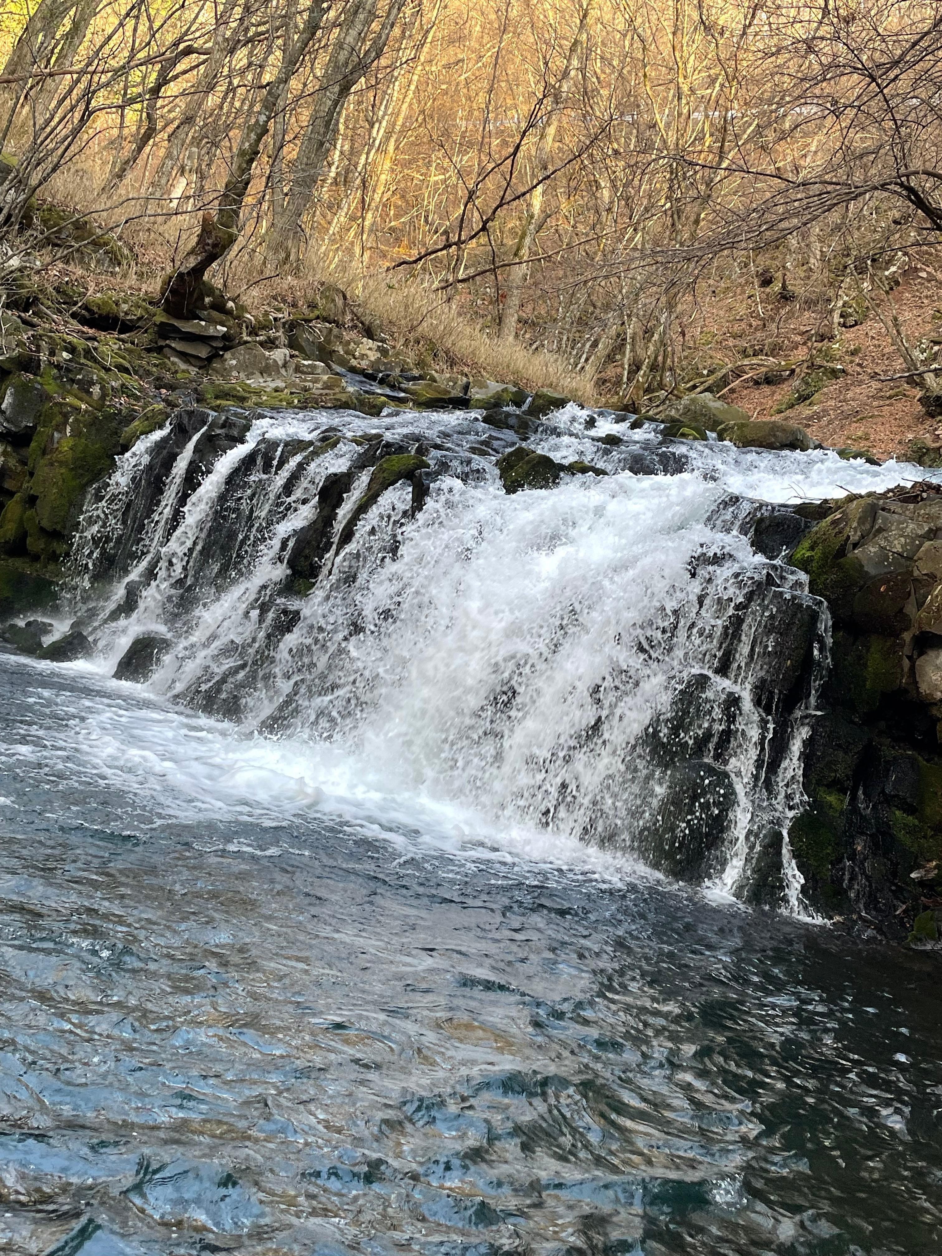 お散歩に丁度イイ蓼科大滝