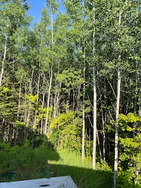 Peaceful morning