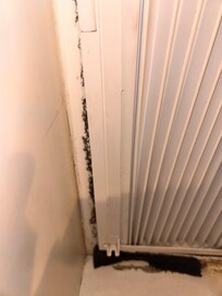 Mold on AC unit