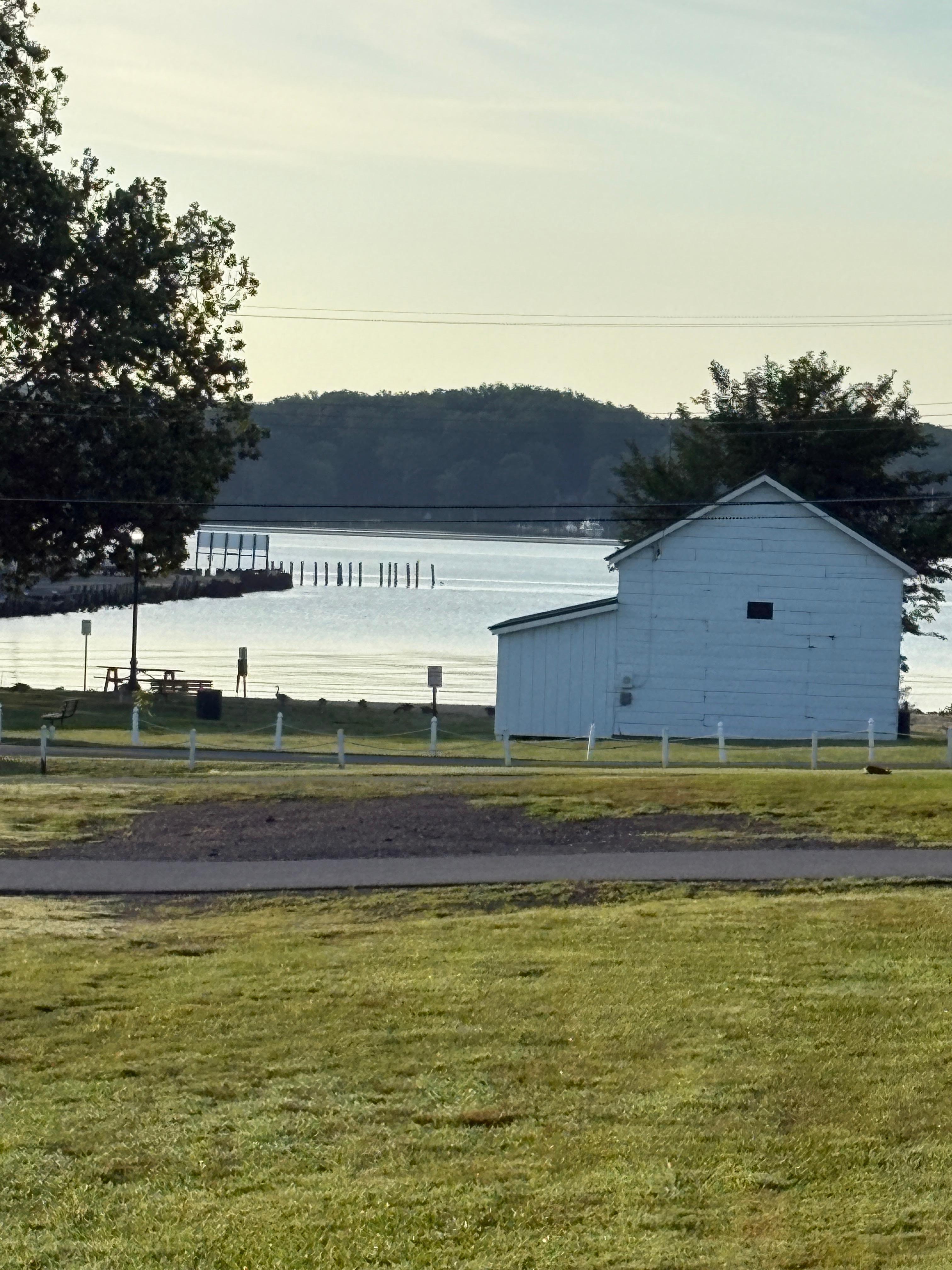 The view from the sunroom
