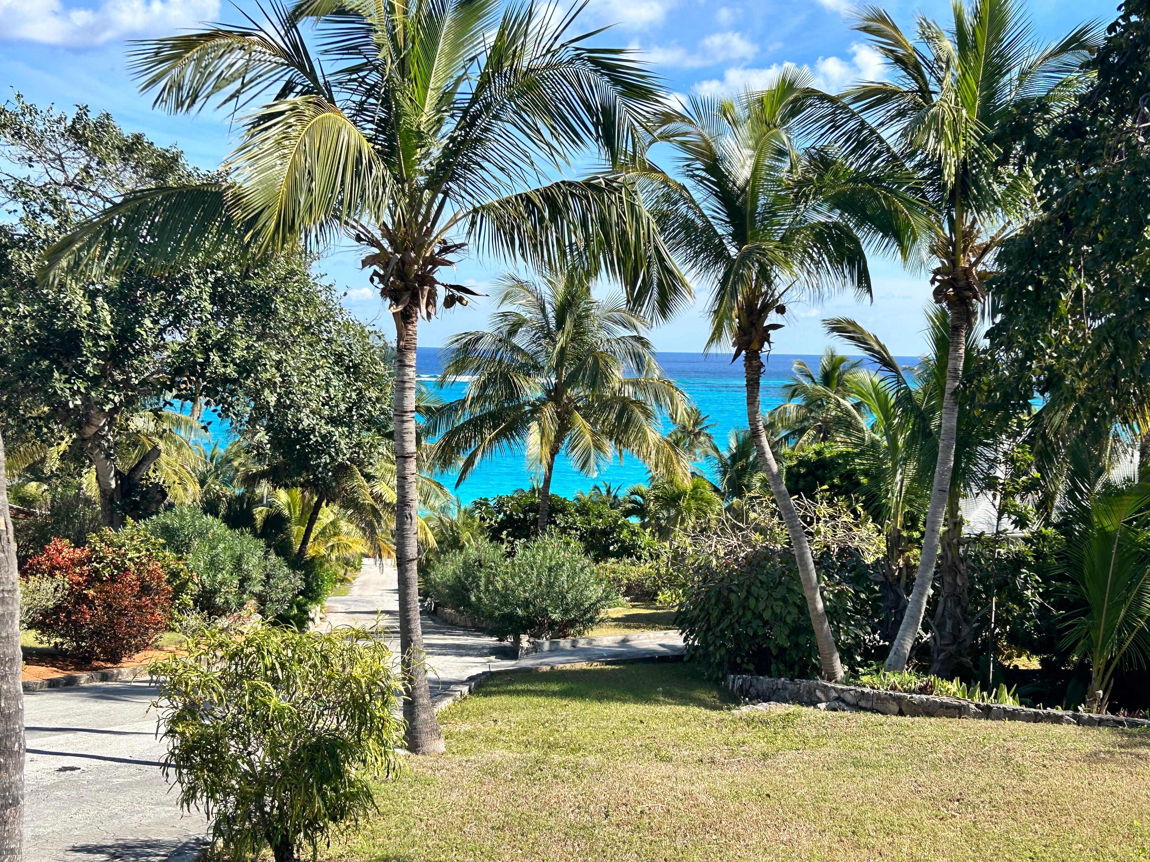 View from the amazing screened in porch