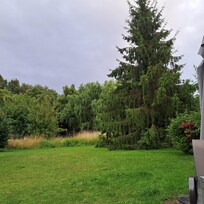 Blick in den Garten von der Terrasse