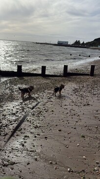 Loving the beach.