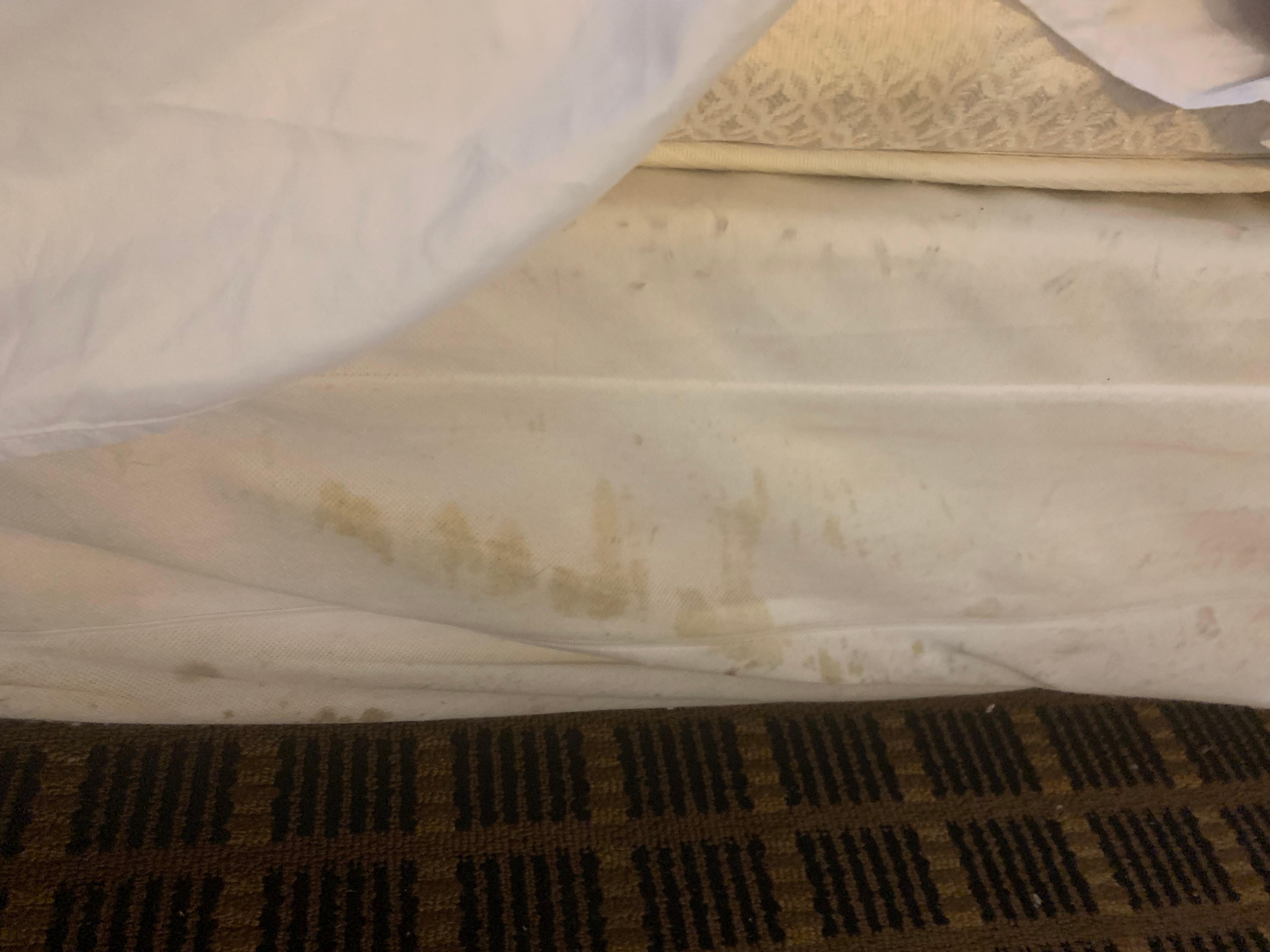 The bed - stained and ripped 