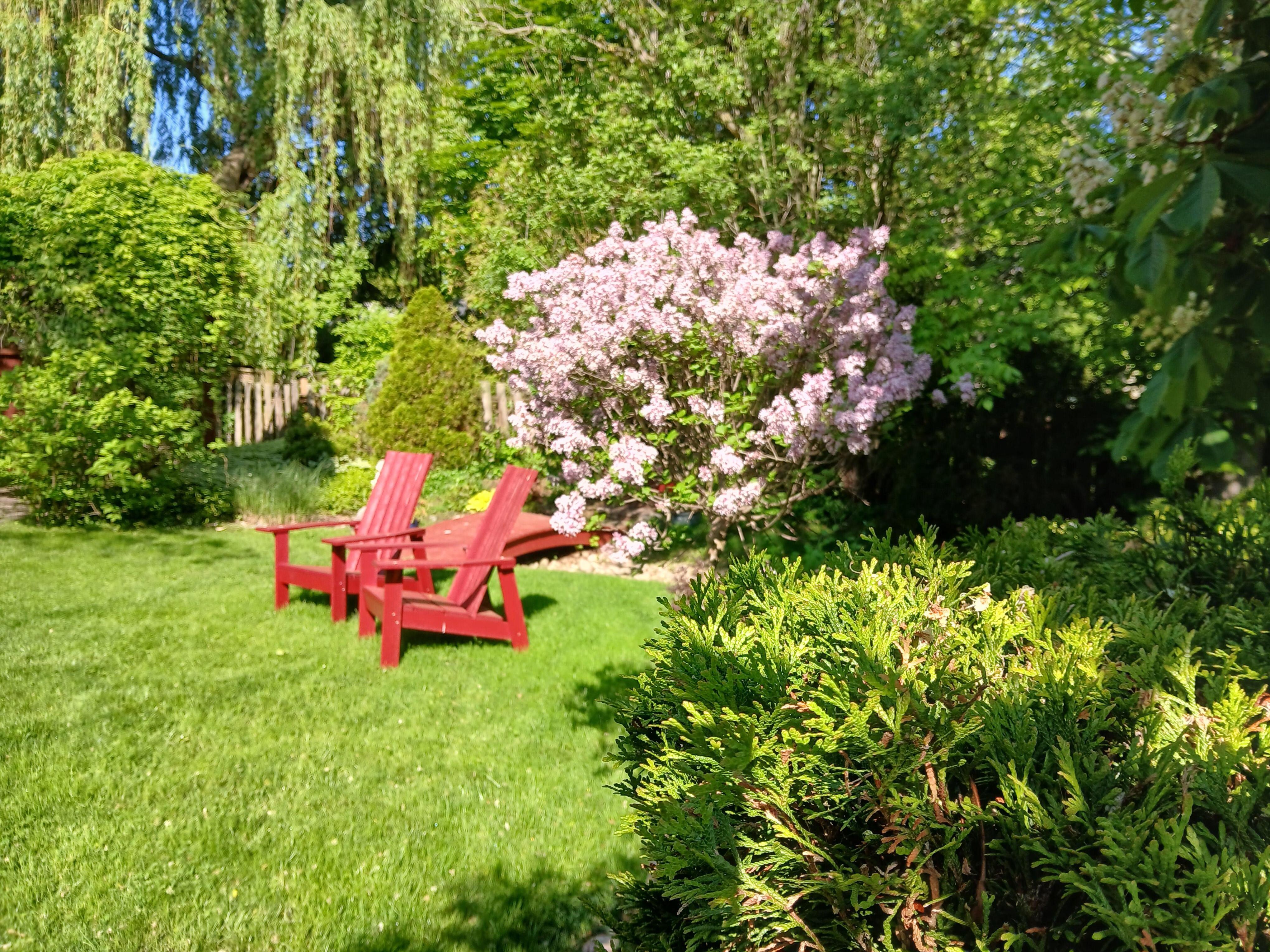 We took time to relax in the beautiful garden. 