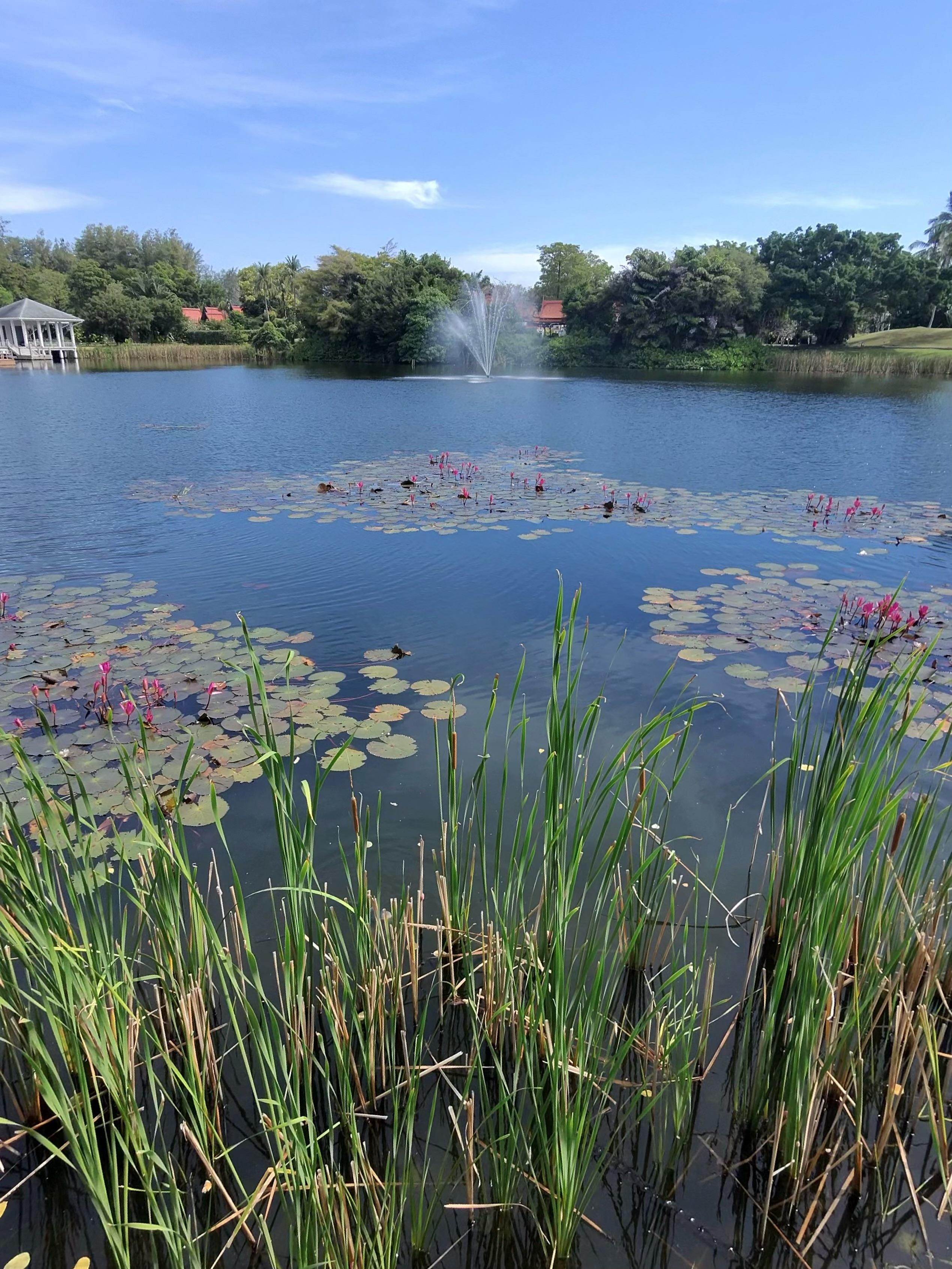 The lagoon from our room