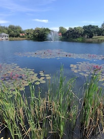 The lagoon from our room