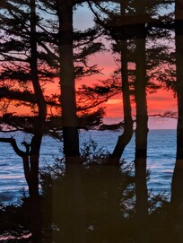 Sunsets from the living room