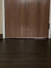 The white between the door and floor is the light coming from the hallway. I could see the carpet.