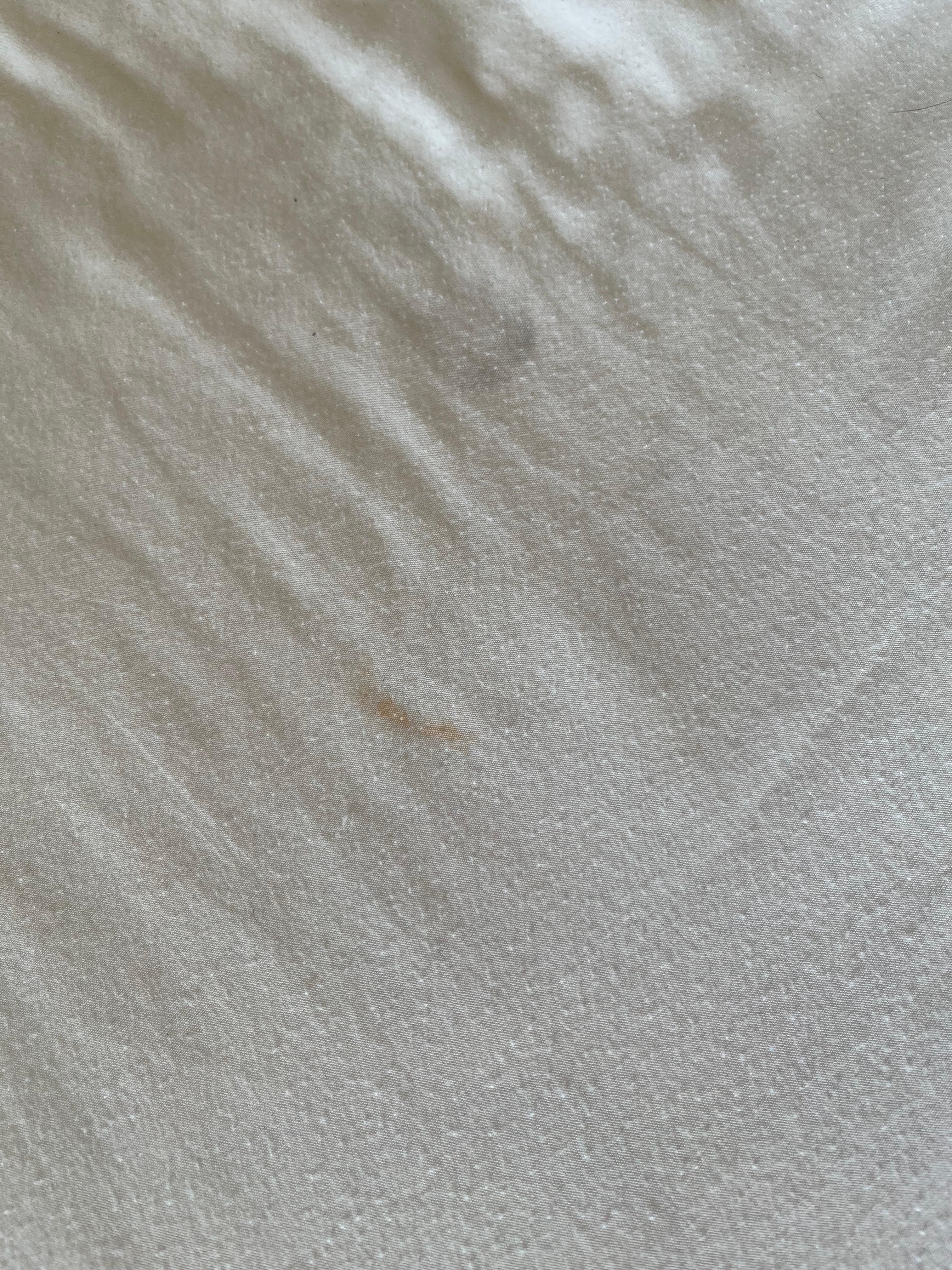 Manchas en los blancos de la cama  y almohadas. 