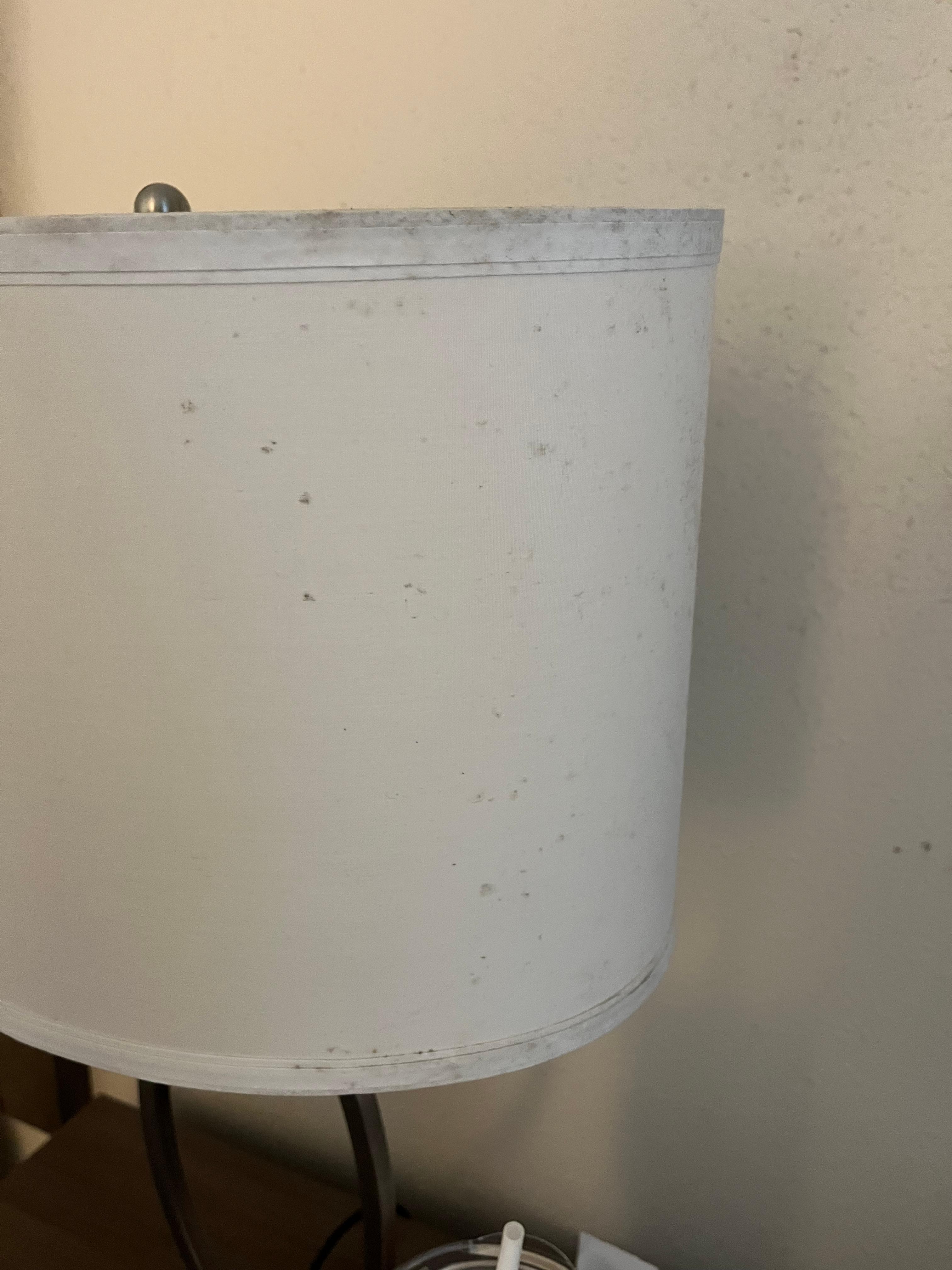 Mold on the lamp
