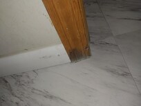 Mold and swelling bathroom door doesn't close