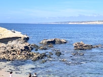 La Jolla Cove area with lots of Sea Lions