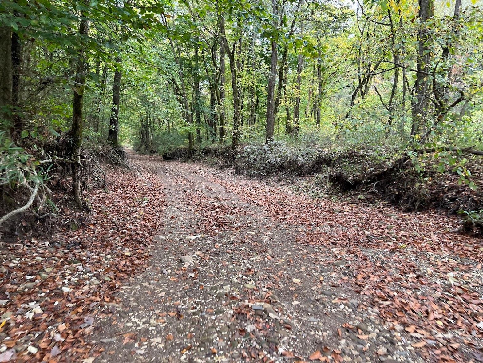 gravel road on property