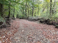 gravel road on property