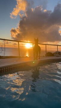 we had amazing sunsets every day