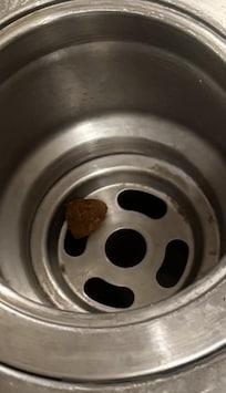 Dog food