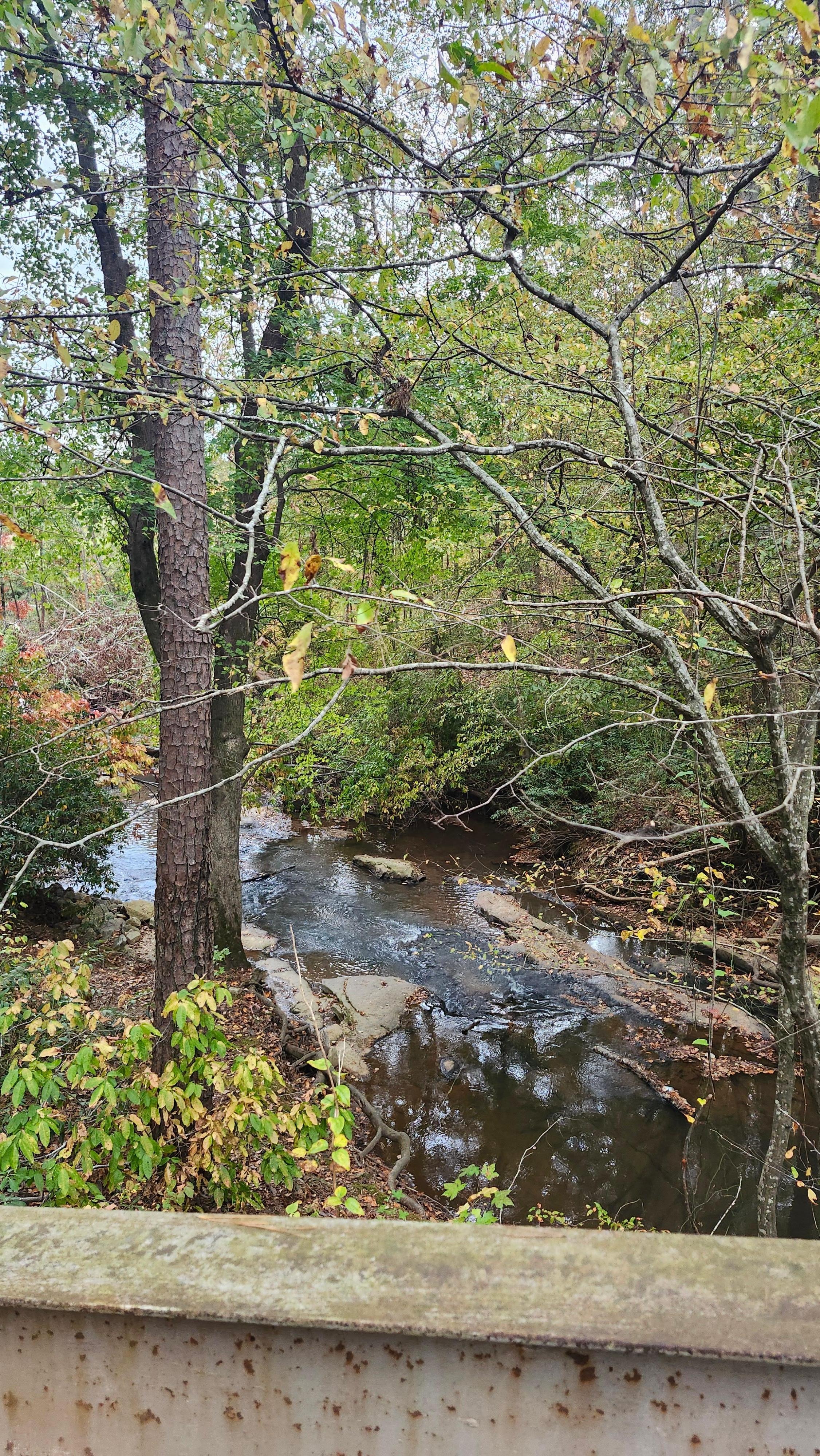 From our walk in neighborhood 