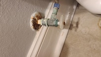 Bathroom rust