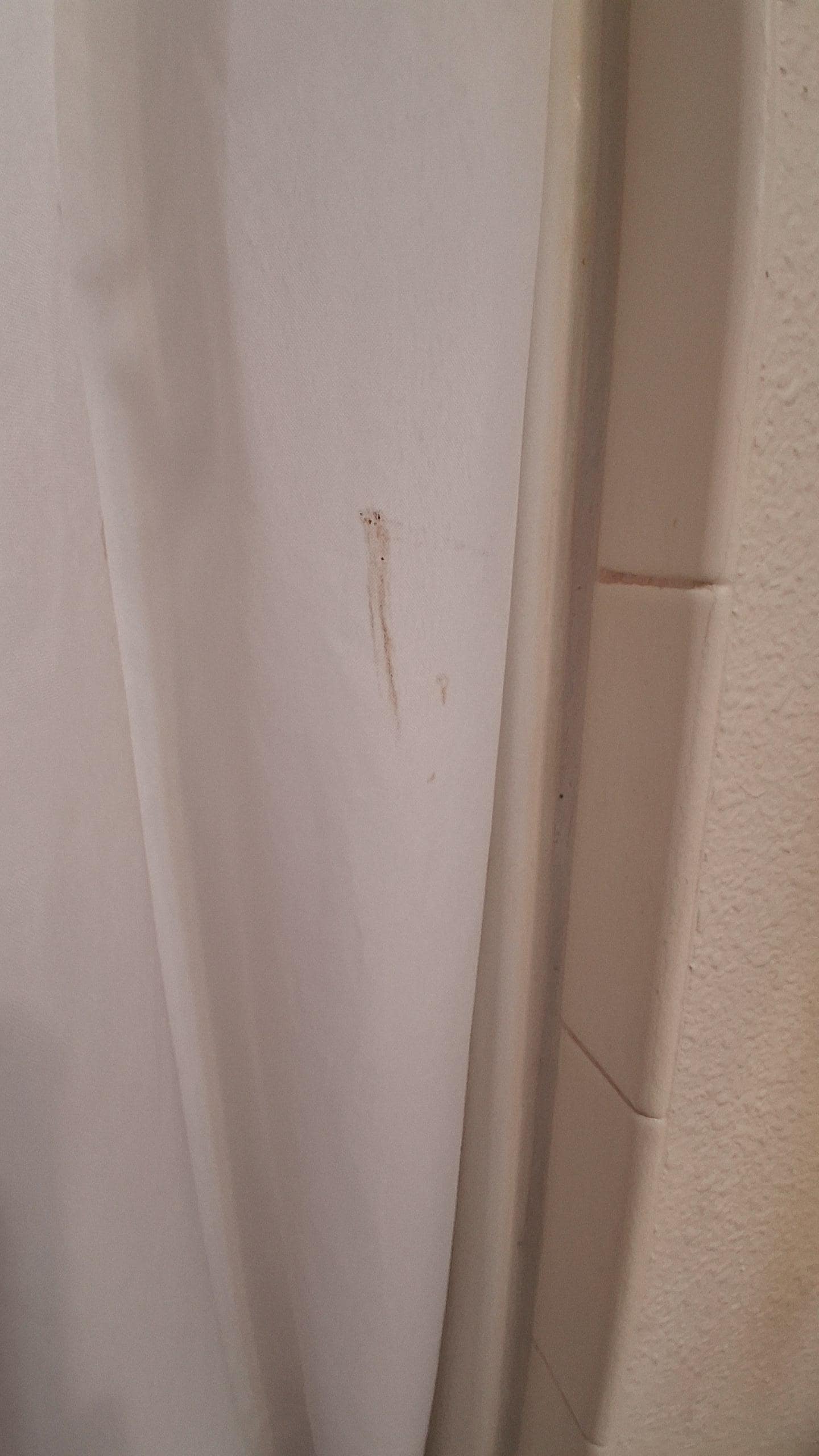 Unbleached shower curtain