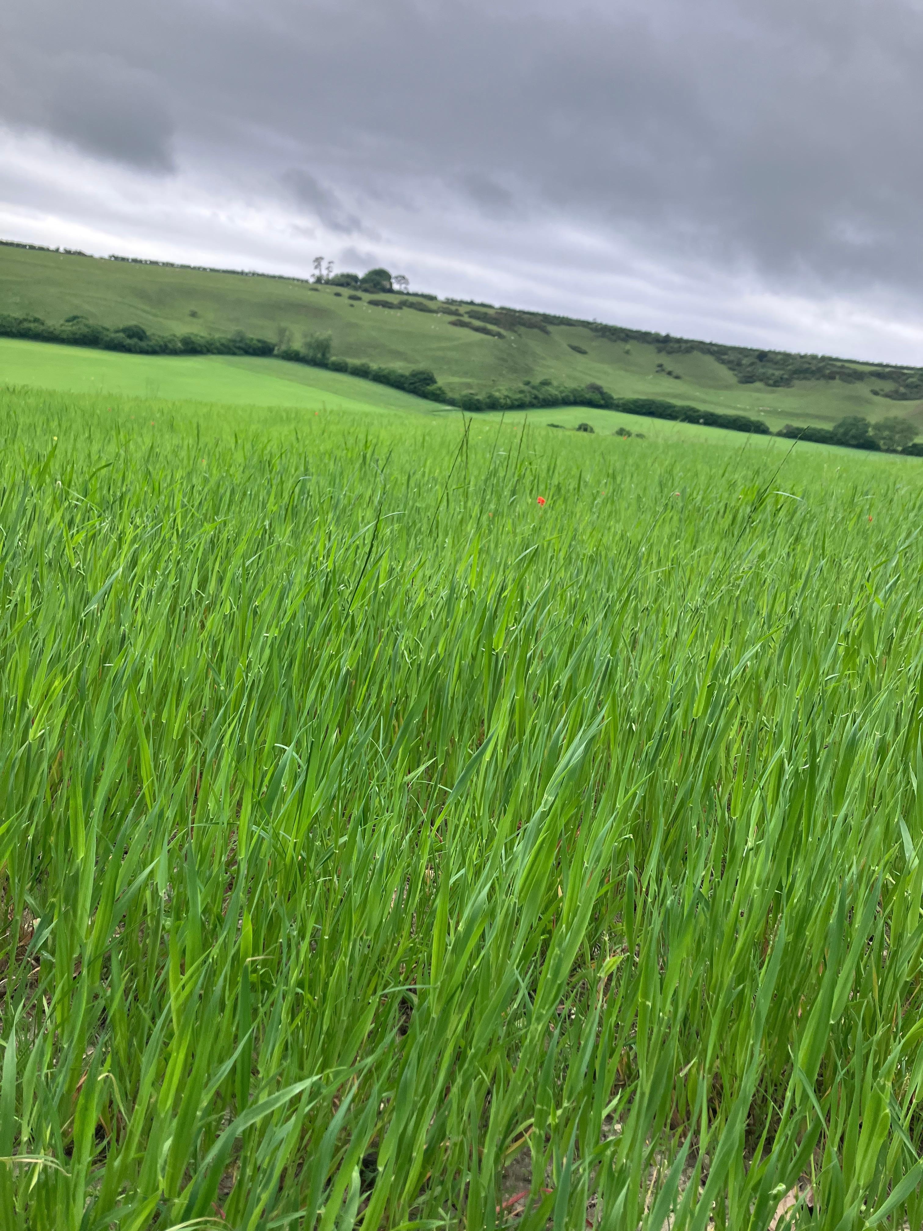 Just a few minutes climb out of the village
