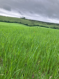 Just a few minutes climb out of the village