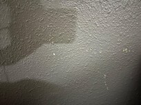 The wall where paint was coming off.