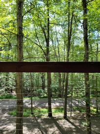 My favorite view from the deck.