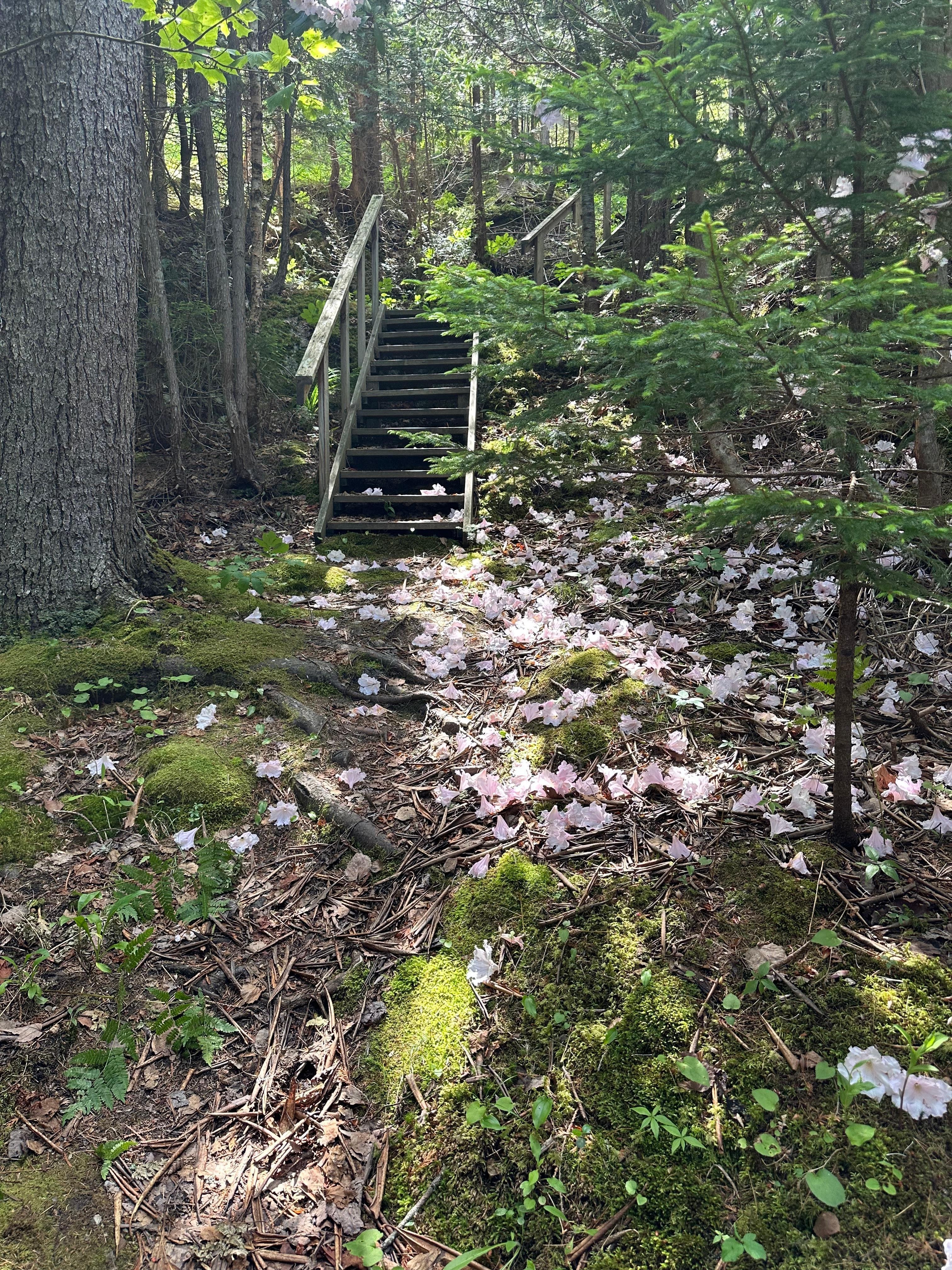 View of property close to the water