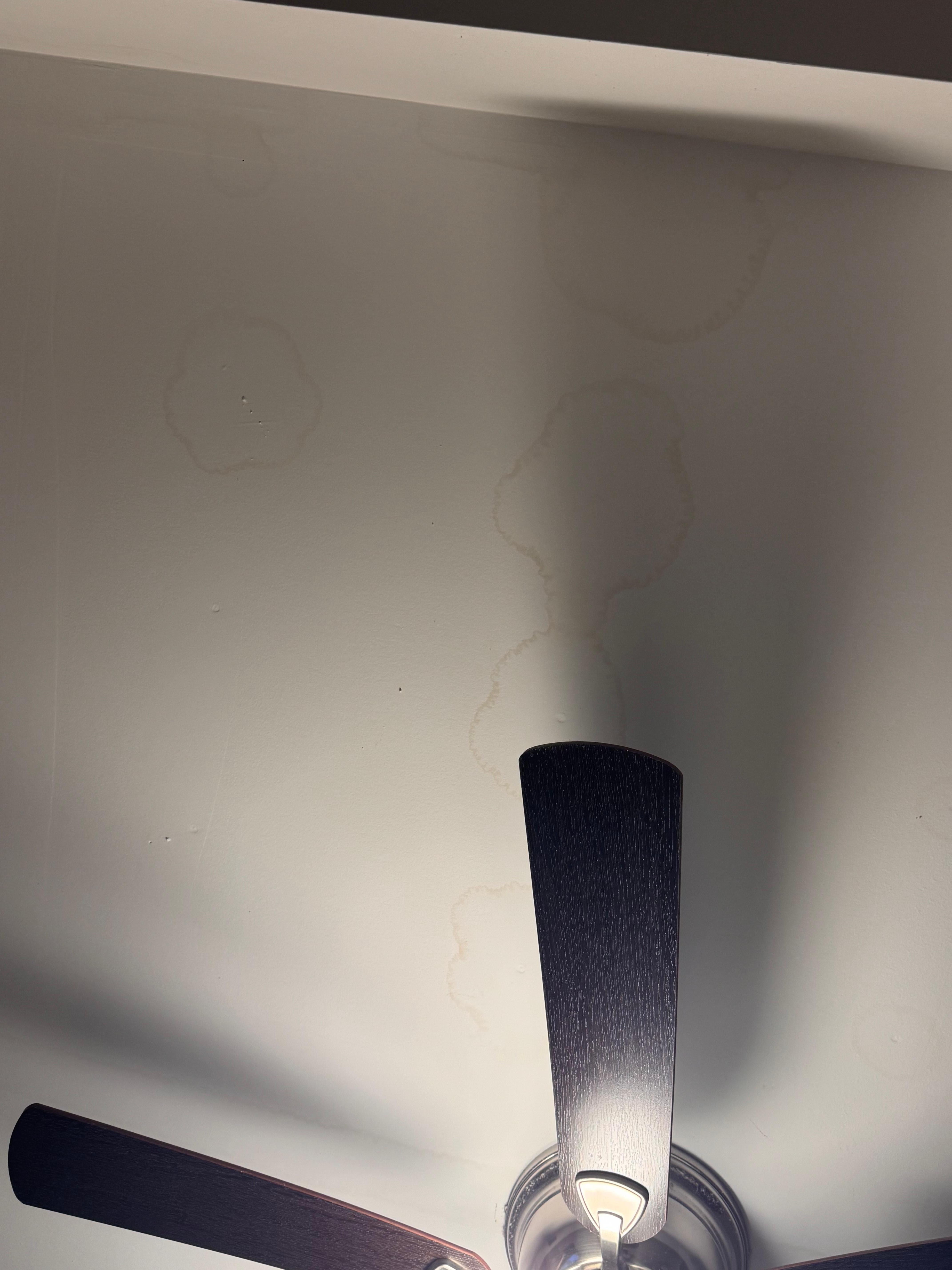 Water stains from some type of leak above bedroom