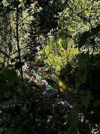 Small creek runs through property and trees.