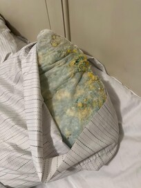 This is an example of a pillow in this unit.