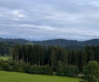 Blick Richtung Grünten von der Terrasse