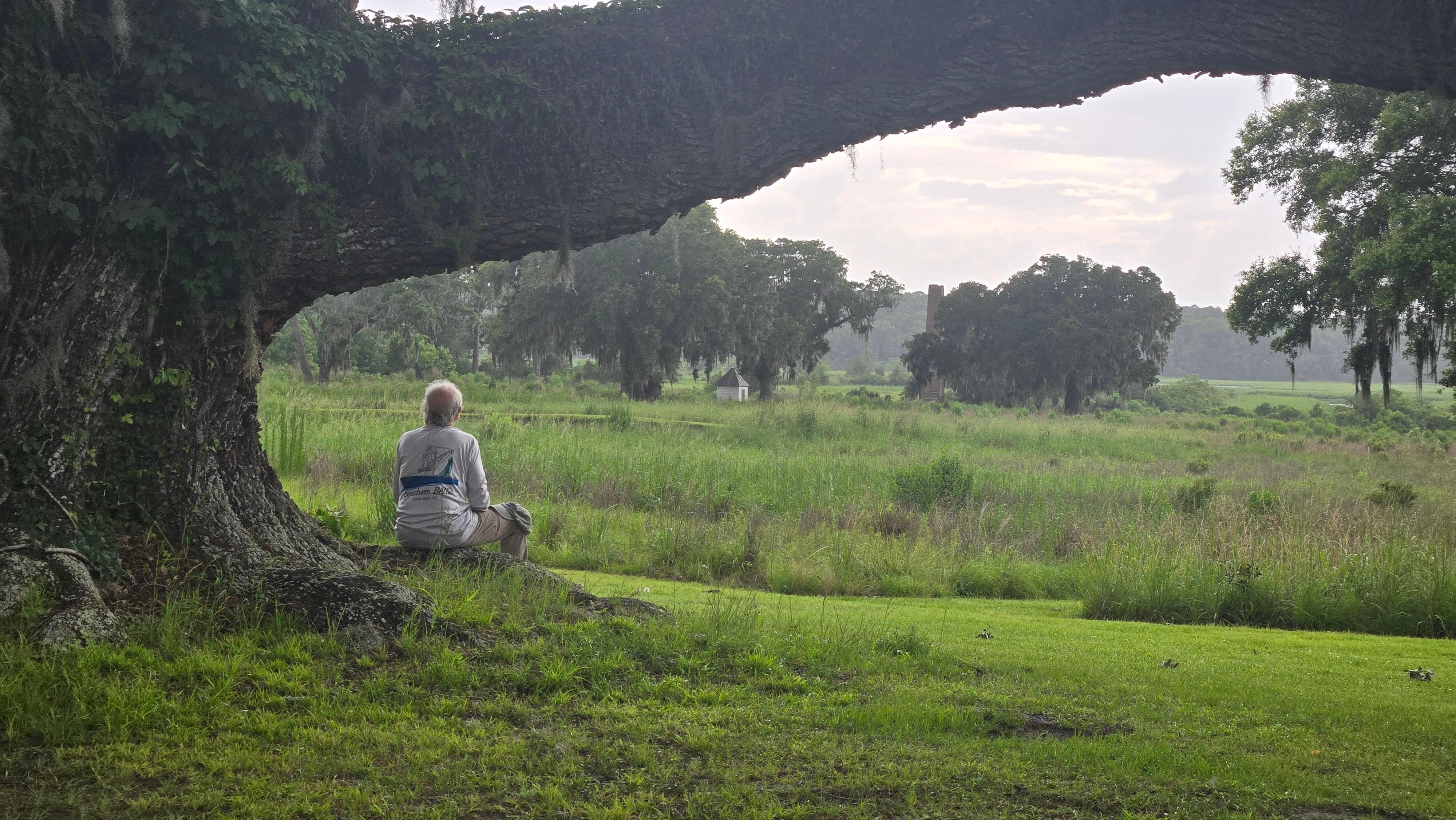I love this Live Oak.