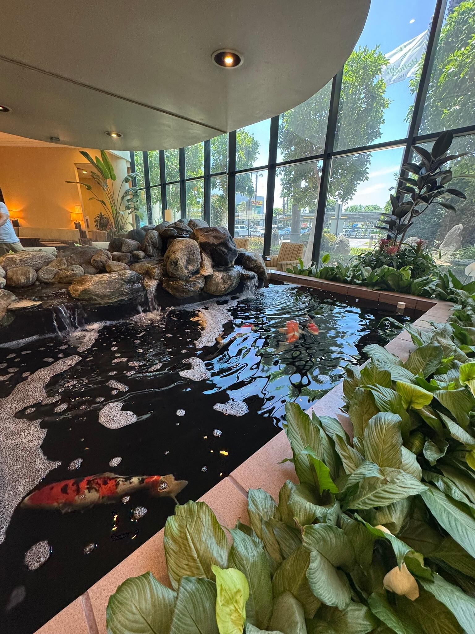 Fuente con pesces, Lobby